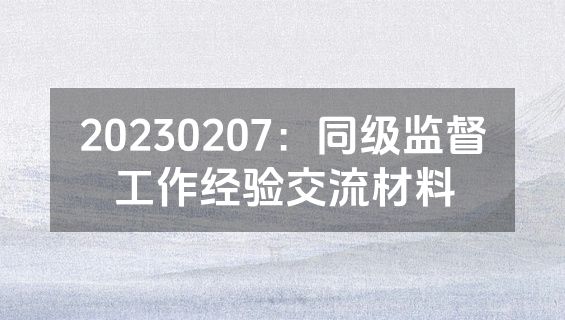 20230207：同级监督工作经验交流材料