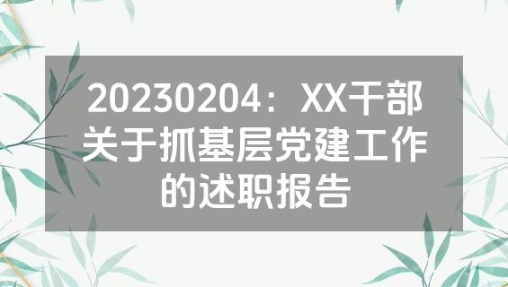20230204：XX干部关于抓基层党建工作的述职报告