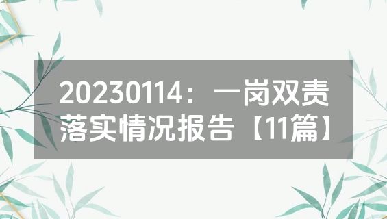 20230114：一岗双责落实情况报告【11篇】