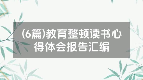(6篇)教育整顿读书心得体会报告汇编