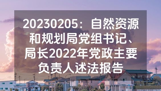 20230205：自然资源和规划局党组书记、局长2022年党政主要负责人述法报告