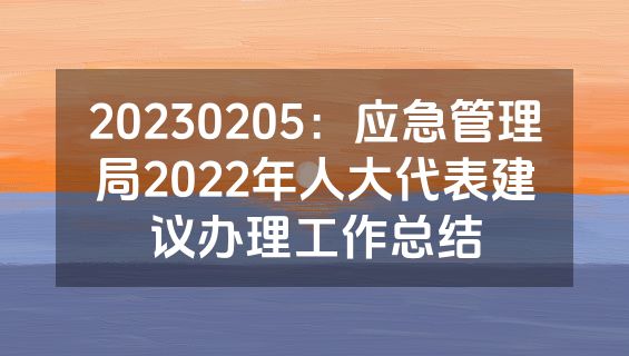 20230205：应急管理局2022年人大代表建议办理工作总结
