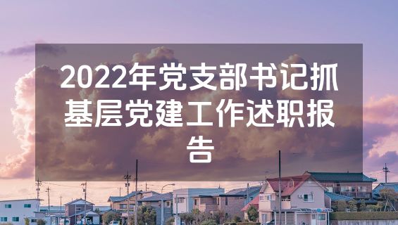 2022年党支部书记抓基层党建工作述职报告