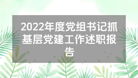 2022年度党组书记抓基层党建工作述职报告
