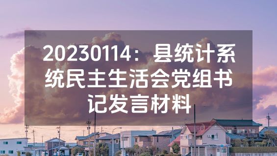 20230114：县统计系统民主生活会党组书记发言材料