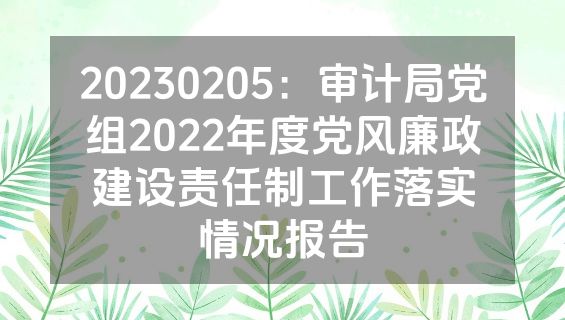 20230205：审计局党组2022年度党风廉政建设责任制工作落实情况报告