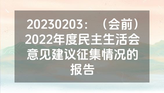 20230203：（会前）2022年度民主生活会意见建议征集情况的报告