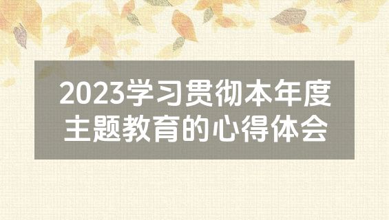 2023学习贯彻本年度主题教育的心得体会