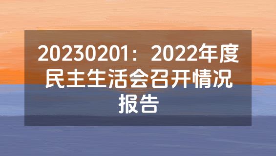 20230201：2022年度民主生活会召开情况报告