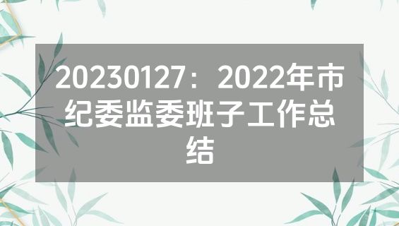 20230127：2022年市纪委监委班子工作总结