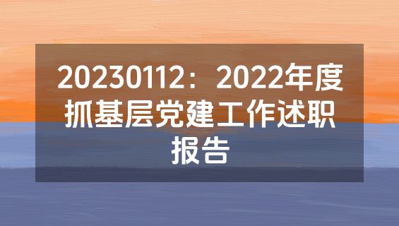 20230112：2022年度抓基层党建工作述职报告