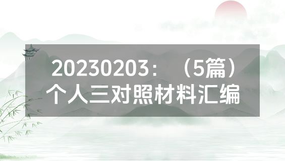 20230203：（5篇）个人三对照材料汇编