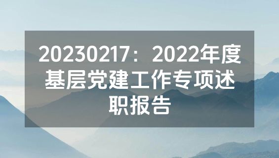 20230217：2022年度基层党建工作专项述职报告