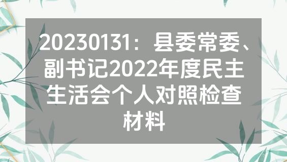20230131：县委常委、副书记2022年度民主生活会个人对照检查材料