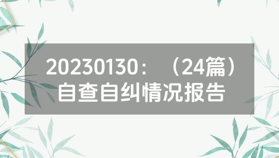 20230130：（24篇）自查自纠情况报告