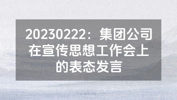 20230222：集团公司在宣传思想工作会上的表态发言