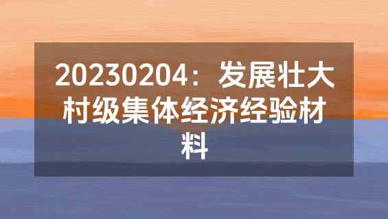 20230204：发展壮大村级集体经济经验材料