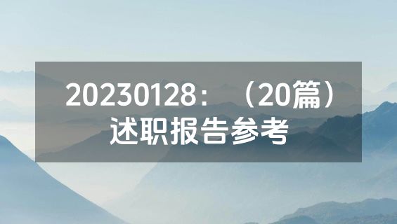 20230128：（20篇）述职报告参考