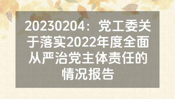 20230204：党工委关于落实2022年度全面从严治党主体责任的情况报告