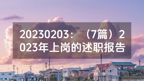 20230203：（7篇）2023年上岗的述职报告