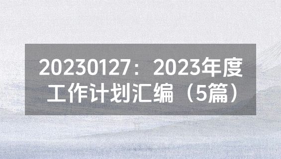 20230127：2023年度工作计划汇编（5篇）