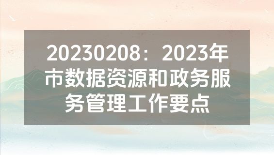 20230208：2023年市数据资源和政务服务管理工作要点