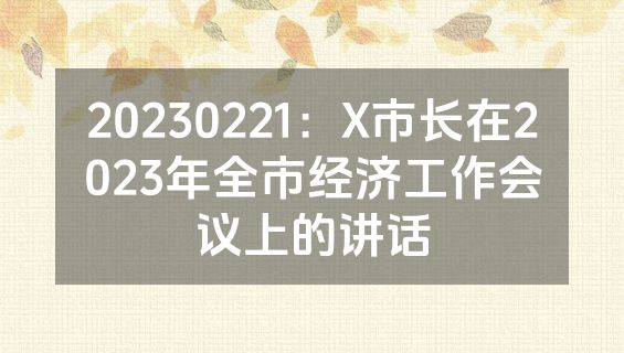 20230221：X市长在2023年全市经济工作会议上的讲话