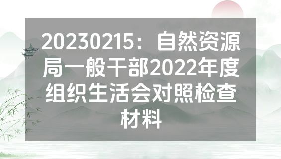 20230215：自然资源局一般干部2022年度组织生活会对照检查材料