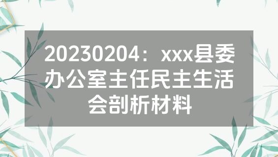 20230204：xxx县委办公室主任民主生活会剖析材料