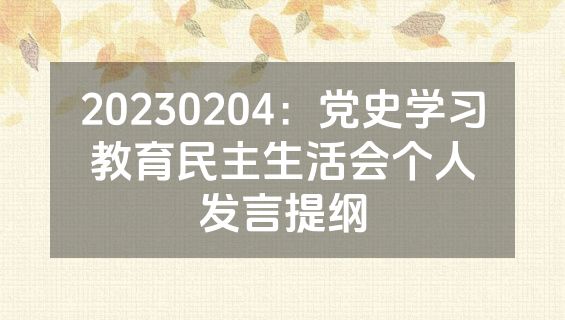 20230204：党史学习教育民主生活会个人发言提纲