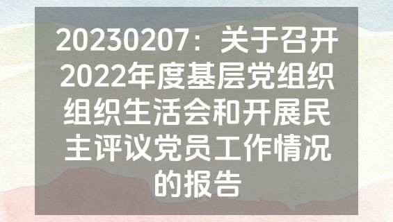 20230207：关于召开2022年度基层党组织组织生活会和开展民主评议党员工作情况的报告