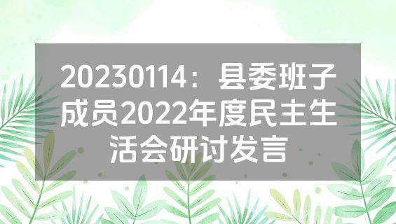 20230114：县委班子成员2022年度民主生活会研讨发言