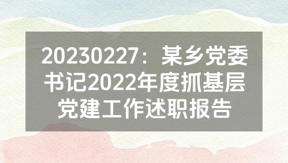 20230227：某乡党委书记2022年度抓基层党建工作述职报告
