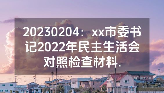 20230204：xx市委书记2022年民主生活会对照检查材料.