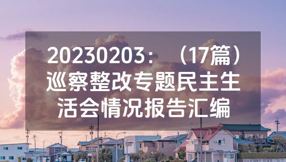 20230203：（17篇）巡察整改专题民主生活会情况报告汇编
