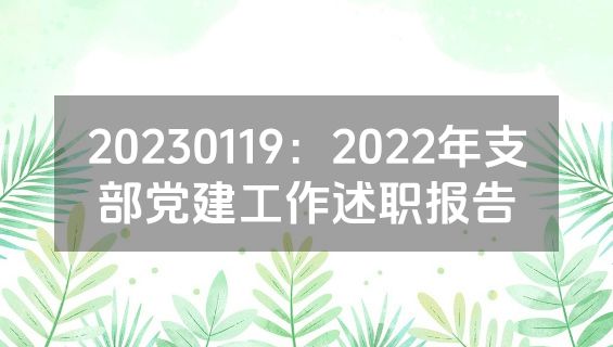 20230119：2022年支部党建工作述职报告