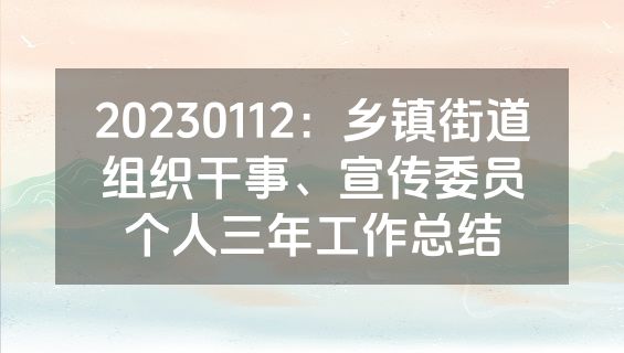 20230112：乡镇街道组织干事、宣传委员个人三年工作总结