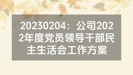 20230204：公司2022年度党员领导干部民主生活会工作方案