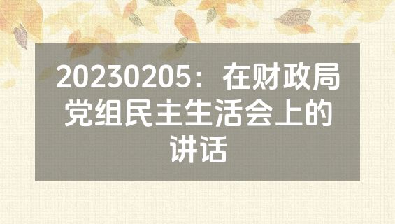 20230205：在财政局党组民主生活会上的讲话
