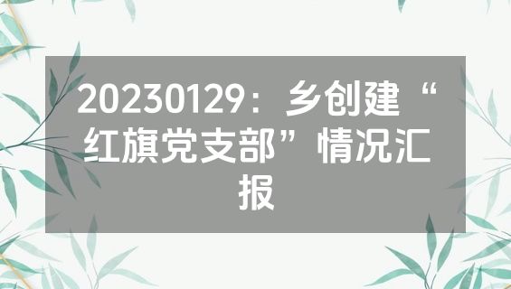 20230129：乡创建“红旗党支部”情况汇报