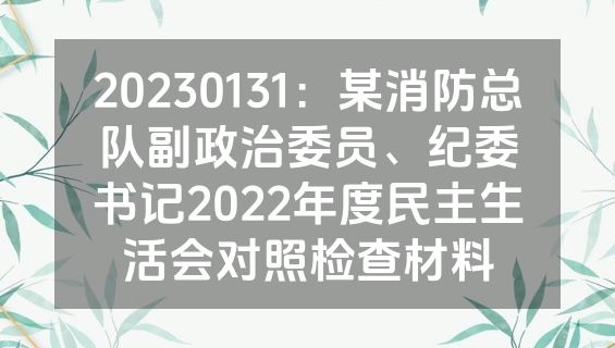 20230131：某消防总队副政治委员、纪委书记2022年度民主生活会对照检查材料