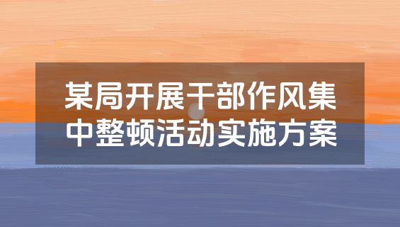 某局开展干部作风集中整顿活动实施方案