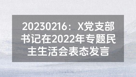 20230216：X党支部书记在2022年专题民主生活会表态发言