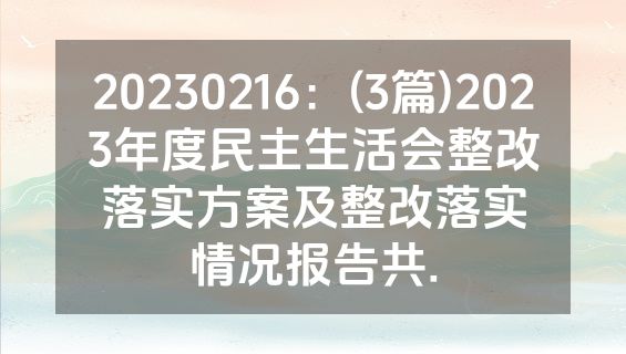 20230216：(3篇)2023年度民主生活会整改落实方案及整改落实情况报告共.