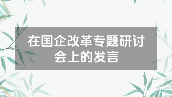 在国企改革专题研讨会上的发言