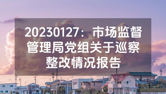 20230127：市场监督管理局党组关于巡察整改情况报告