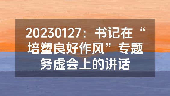 20230127：书记在“培塑良好作风”专题务虚会上的讲话