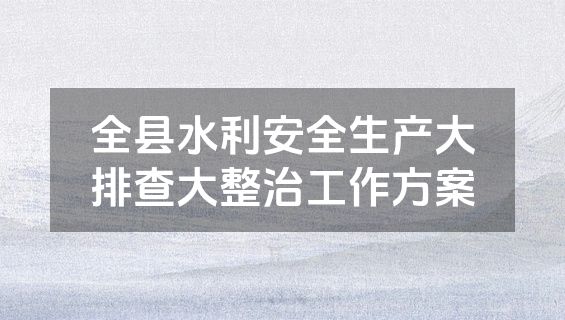 全县水利安全生产大排查大整治工作方案