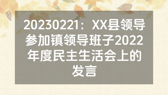 20230221：XX县领导参加镇领导班子2022年度民主生活会上的发言