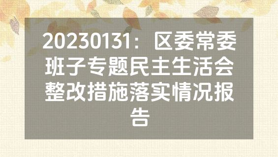 20230131：区委常委班子专题民主生活会整改措施落实情况报告